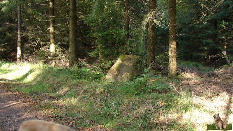 Ritterstein Nr. 139-3 Otterbergersohl.JPG - Ritterstein Nr.139  Otterbergersohl                               